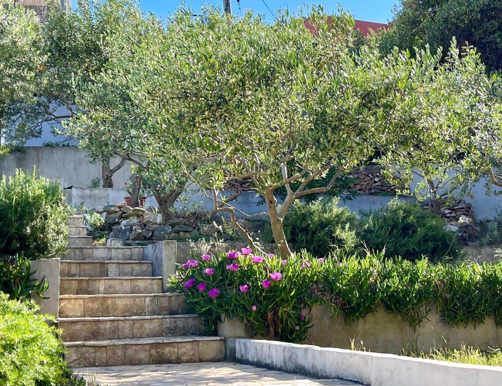 Villa Bua - Beautiful Seafront Apartments Trogir Eksteriør bilde